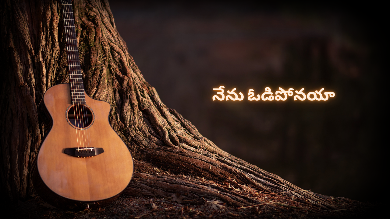 నేను ఓడిపోనయా